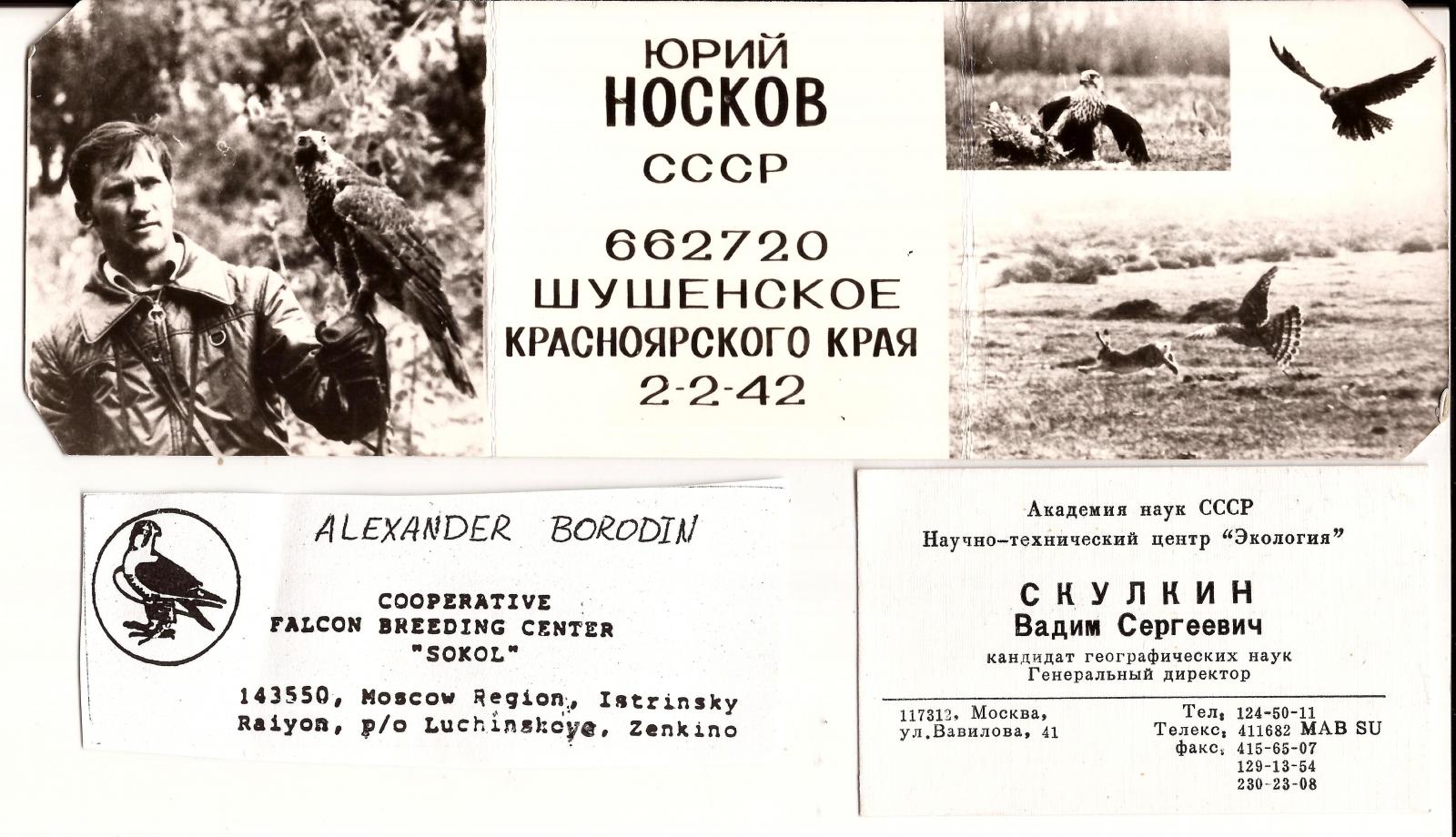 Invitation of ex-Soviet falconers to 7th Int. Falconry Meeting in Hungary at the middle of the 1980'