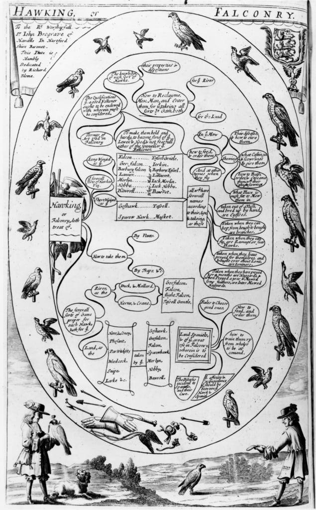 Hawking and Falconry, from 'The Gentleman's Recreation' published by Richard Blome, 1686 