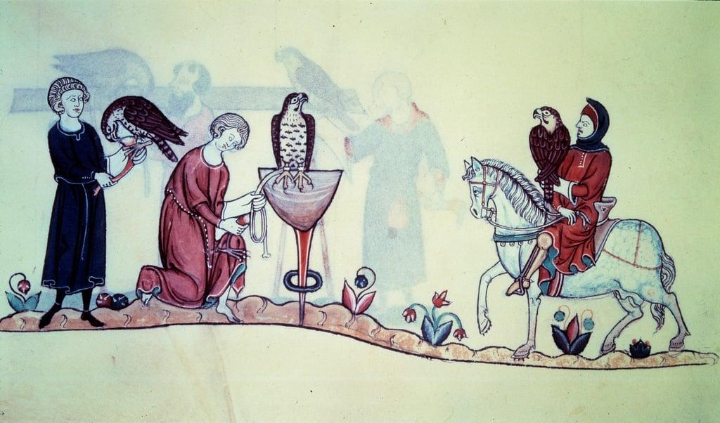 Frederic II (1194 - 1250) German emperor in 1212. Miniature comes from a 13th century falconry. Pari