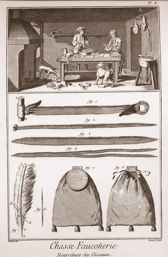 Hunting - Falconry - Food of birds - Engraving by Benard d'apres Goussier 