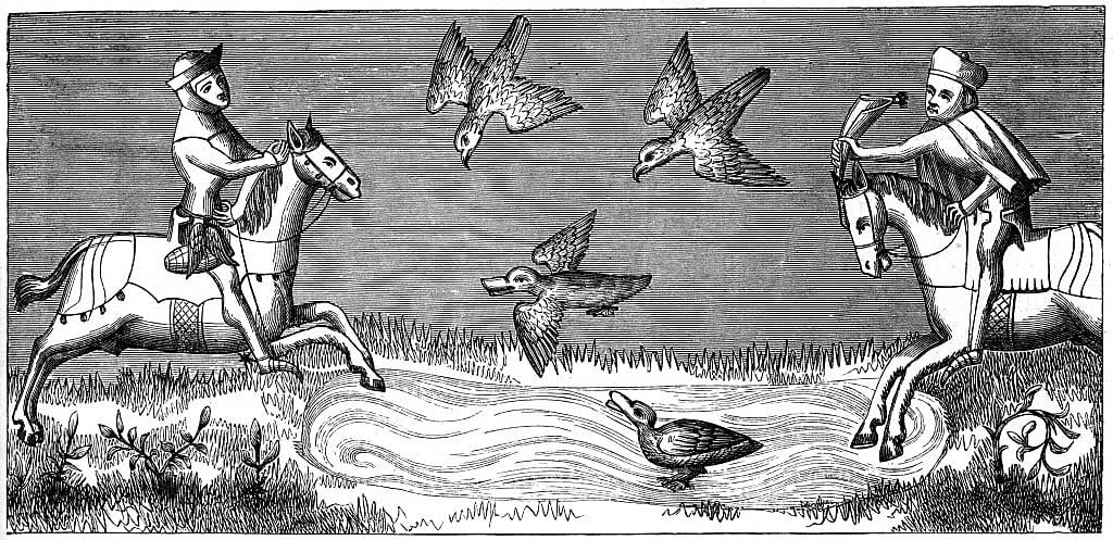 How to bathe a new falcon, 14th century 1849 