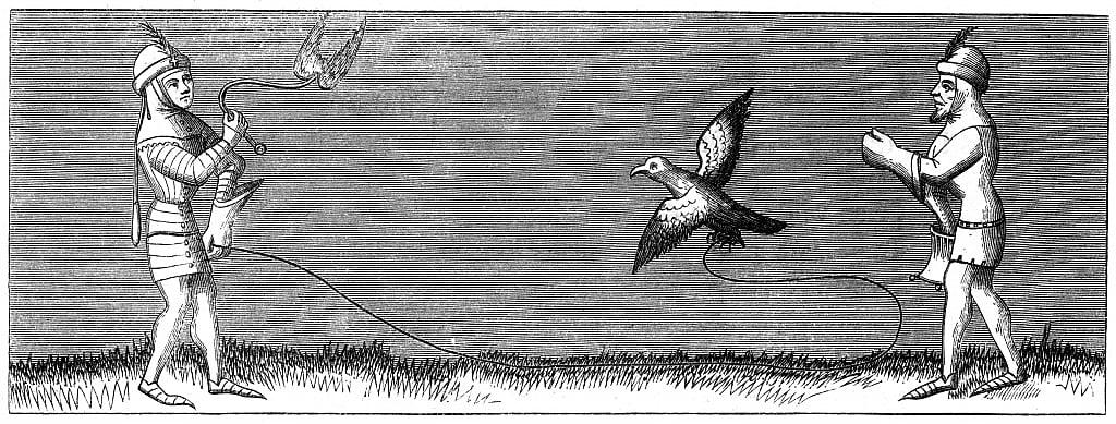 How to train a young falcon, 14th century 1849 