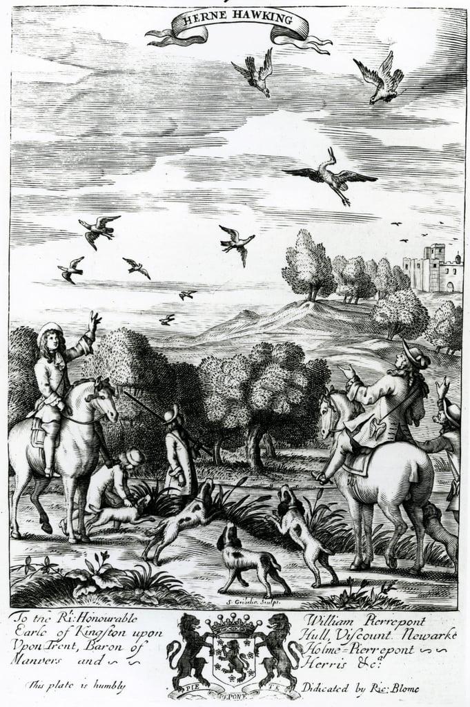 Herne hawking, from 'The Gentleman's Recreation' published by Richard Blome, 1686 (engraving) 