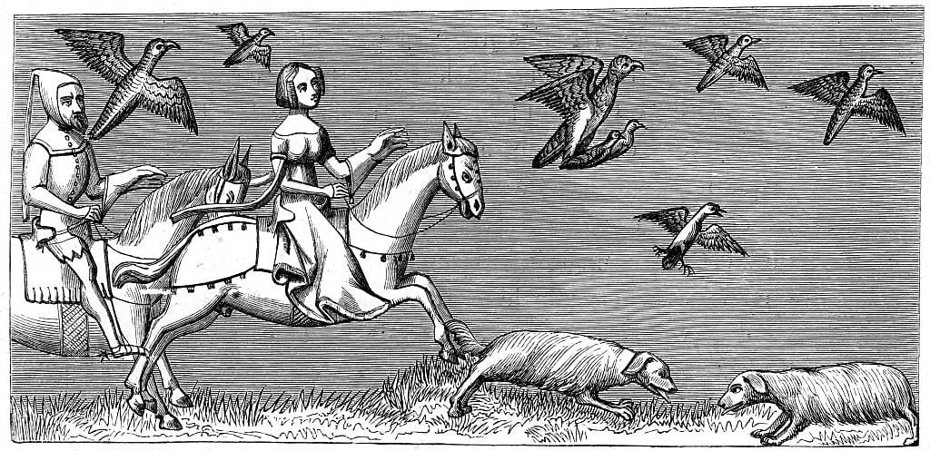 How to make young hawks fly, 14th century 1849 