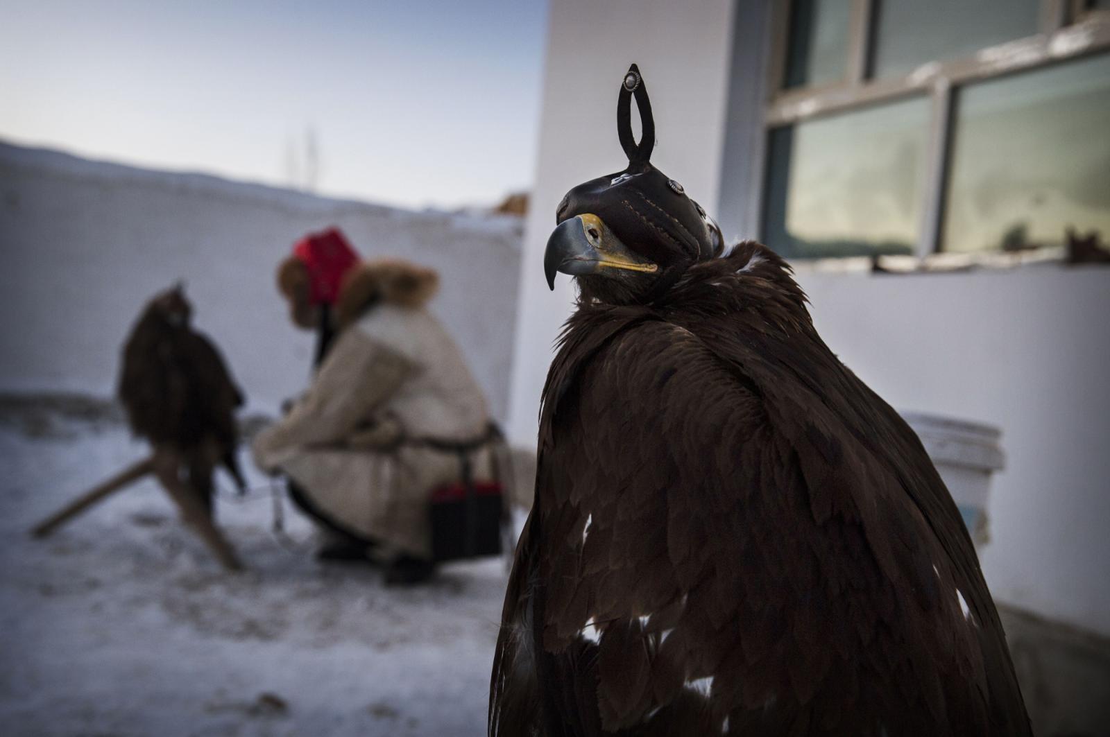 Kevin Frayer, Eagle Hunters of Western China - 2016